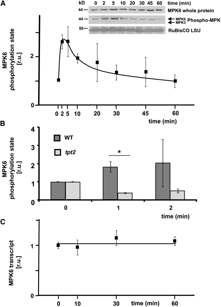 Figure 5.