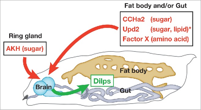 Figure 2.