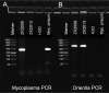 FIG 1