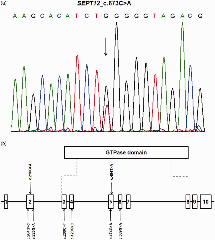 Figure 1.