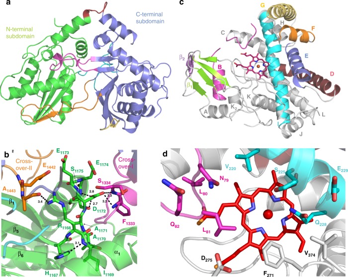 Fig. 6