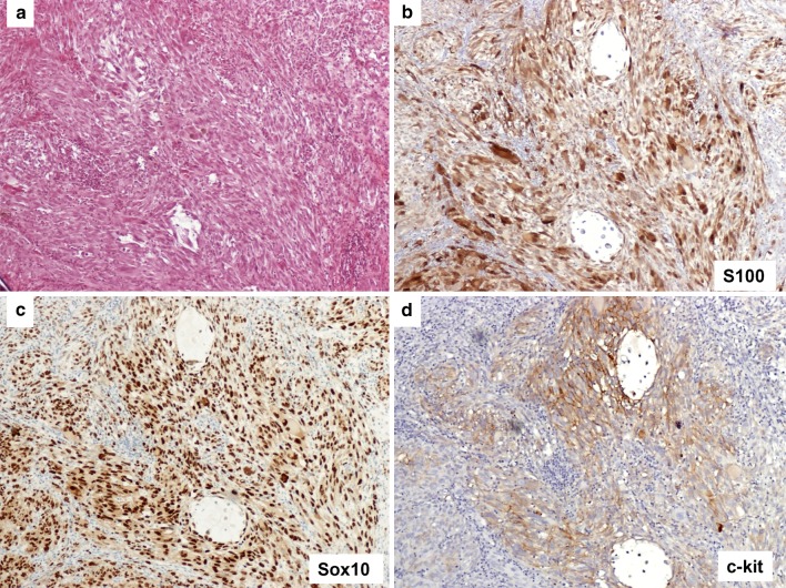 Fig. 3