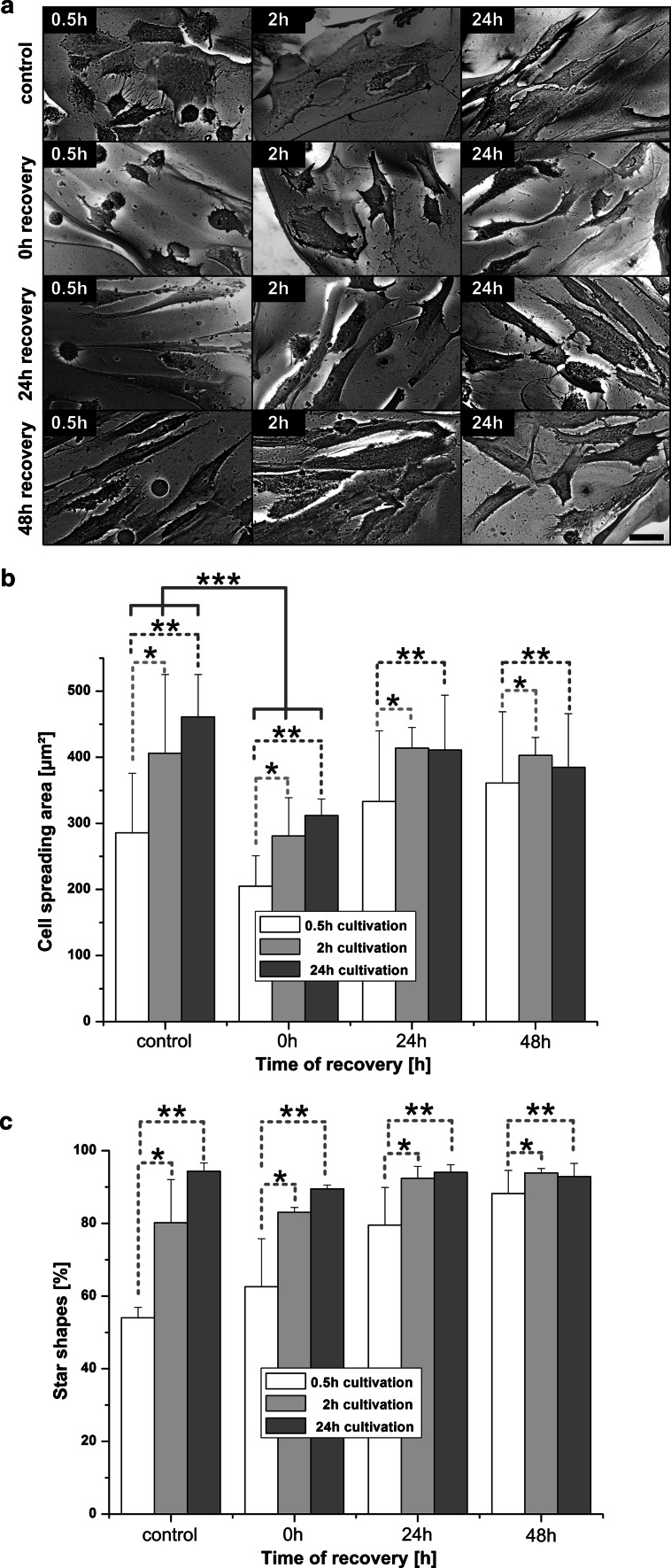 Fig. 7