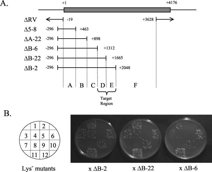 FIG. 1.