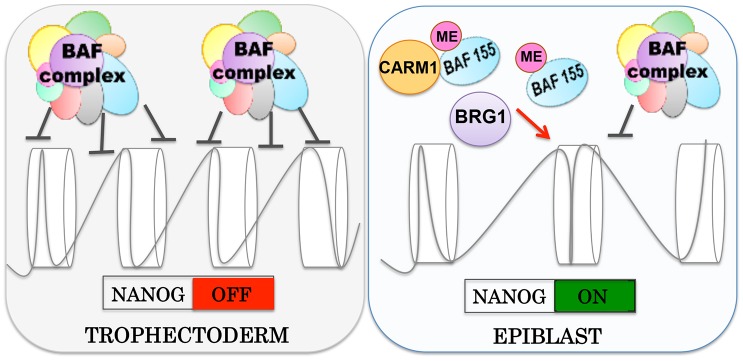 Fig. 8.