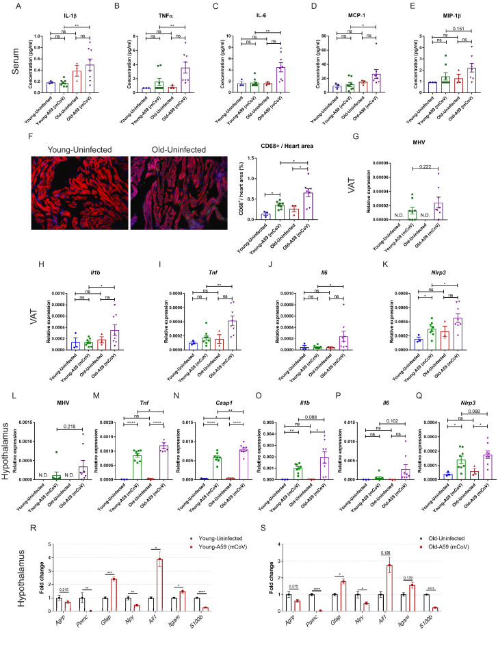 Figure 3—figure supplement 1.