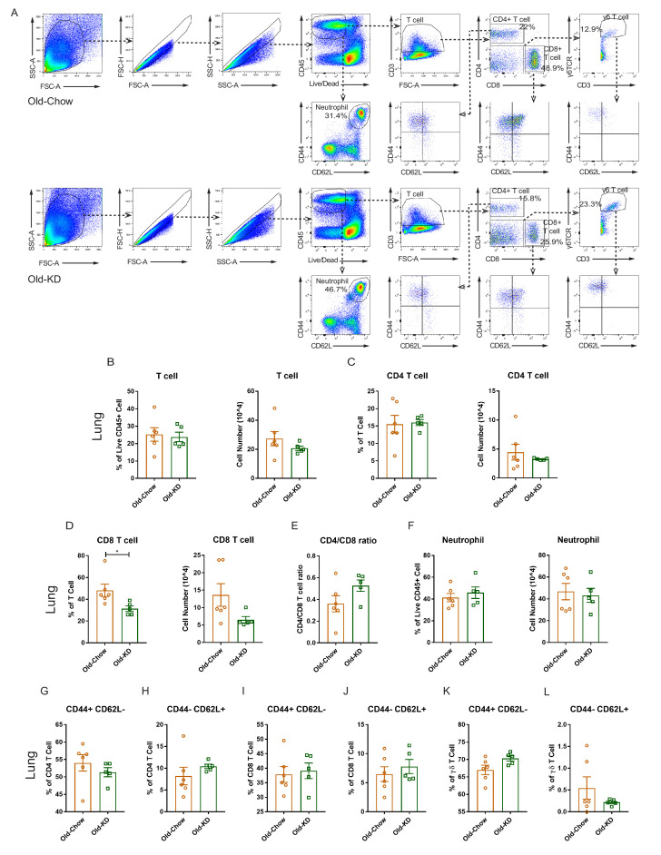 Figure 5—figure supplement 1.