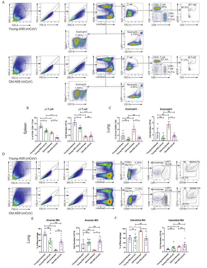 Figure 1—figure supplement 1.