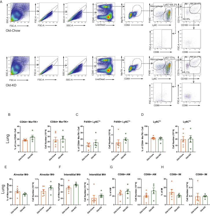 Figure 5—figure supplement 2.