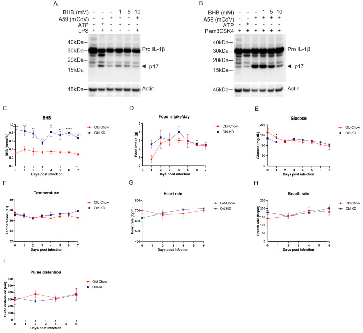 Figure 4—figure supplement 1.