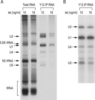 FIG. 5.