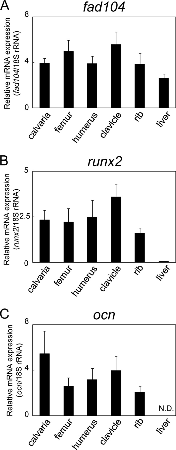 FIGURE 2.