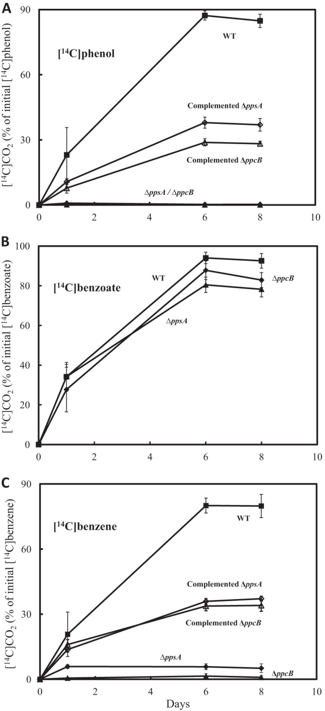 Fig 5