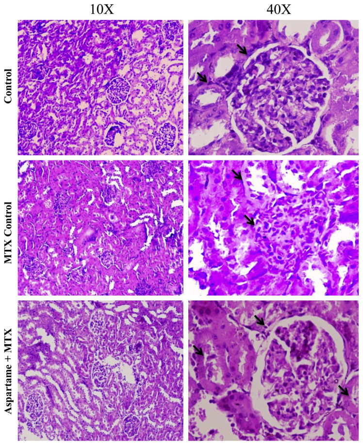 Fig. 6