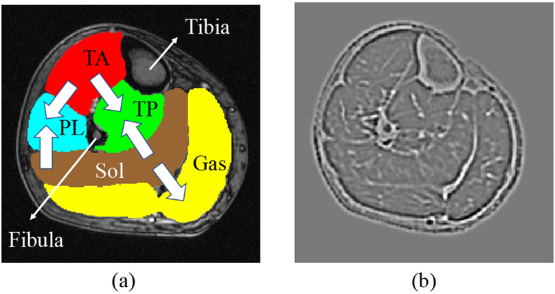 Figure 6: