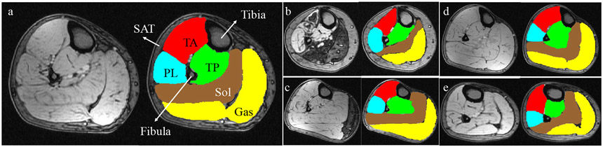 Figure 1: