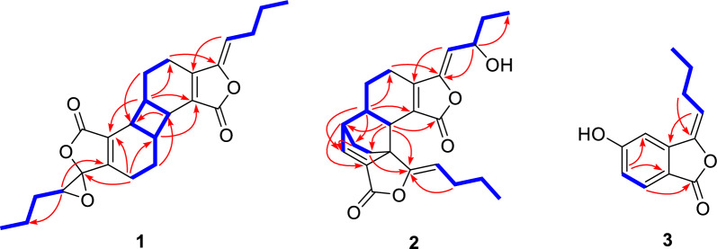 Fig. 2