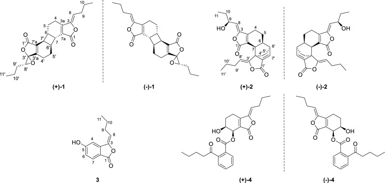 Fig. 1