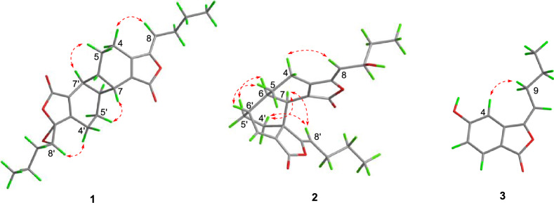 Fig. 3