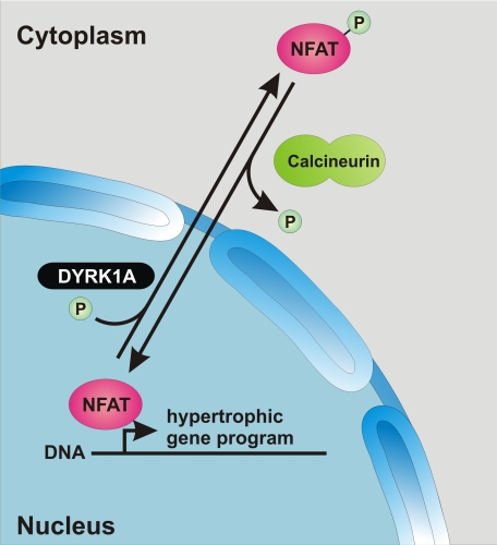 FIGURE 7.