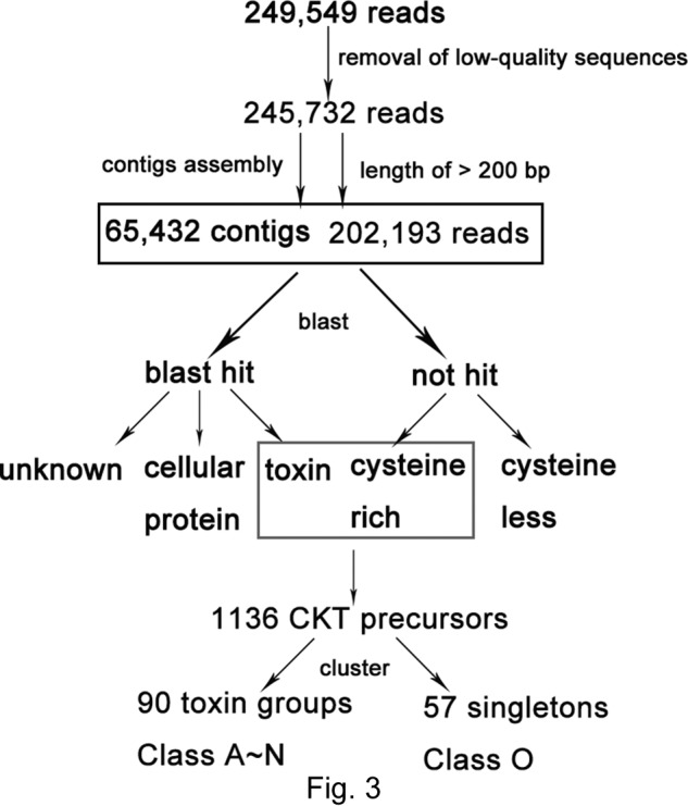 graphic file with name zbc0431530490001.jpg