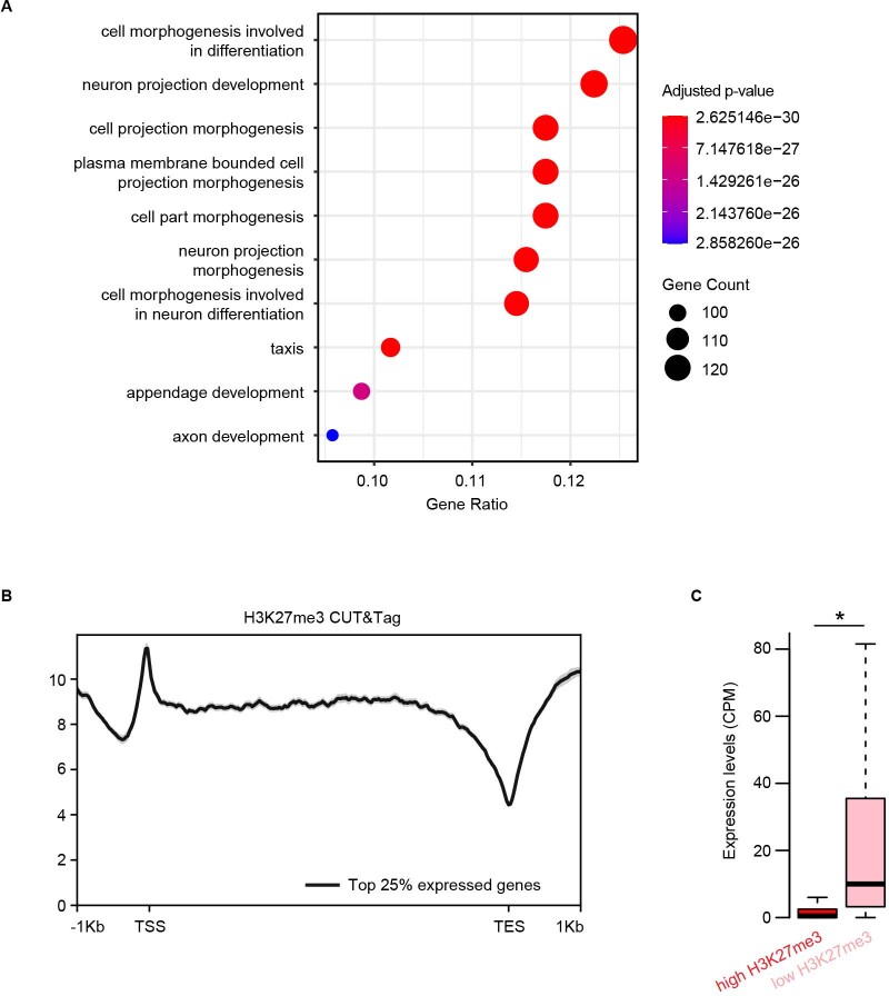 Extended Data Fig. 7