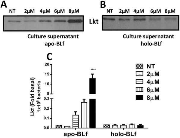 Figure 7