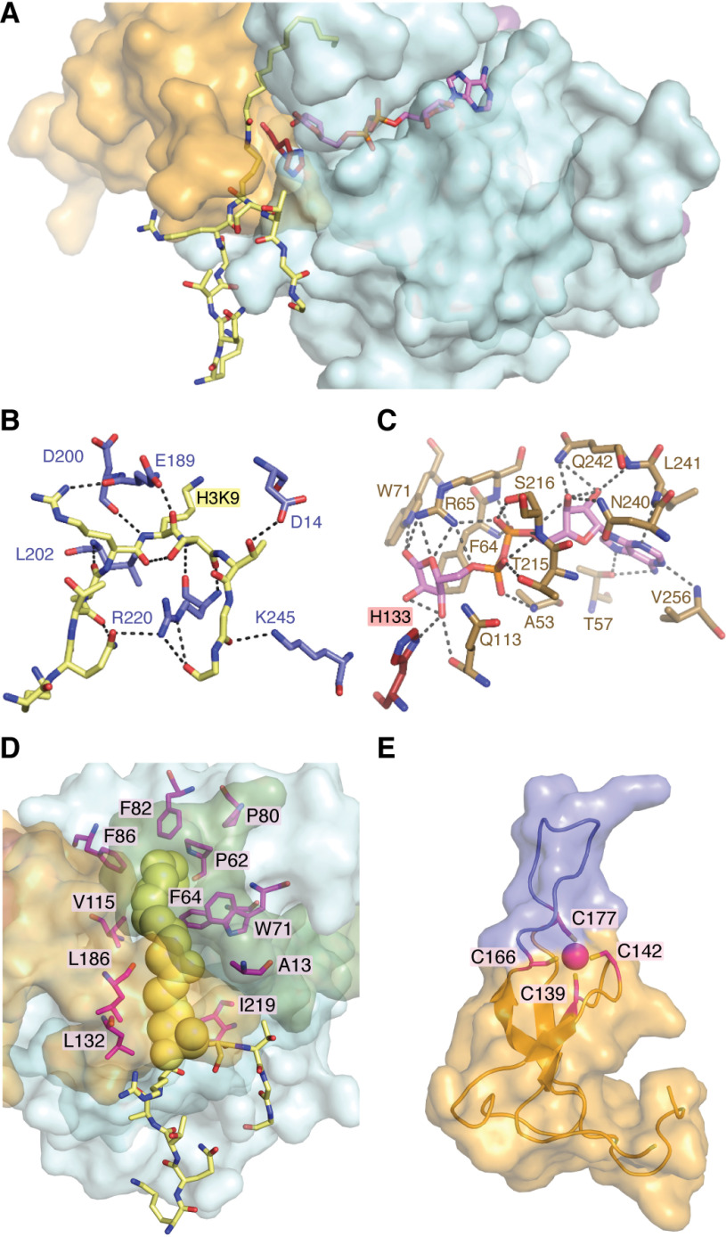 Figure 4.