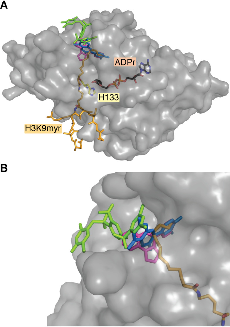 Figure 6.