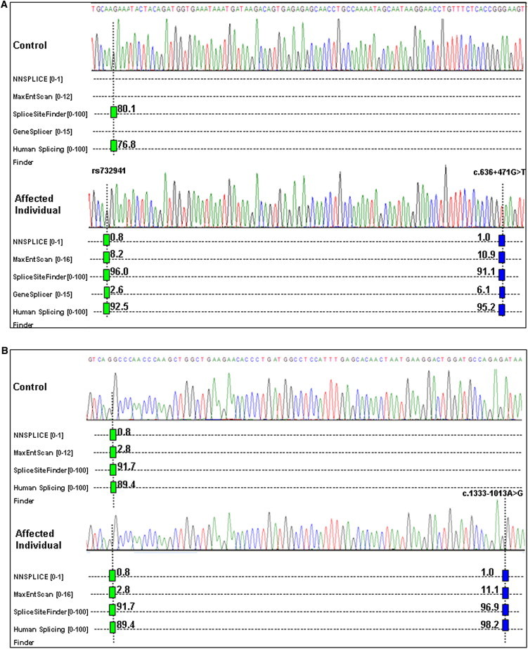 Figure 1