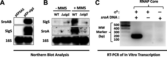 FIG 3