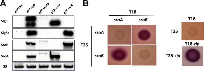 FIG 4