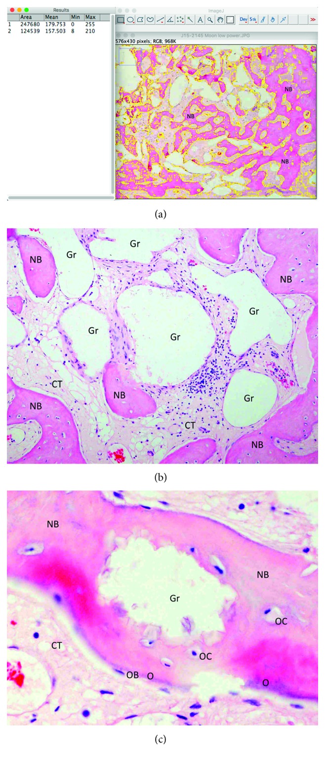 Figure 9