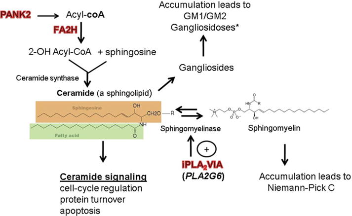 FIGURE 3