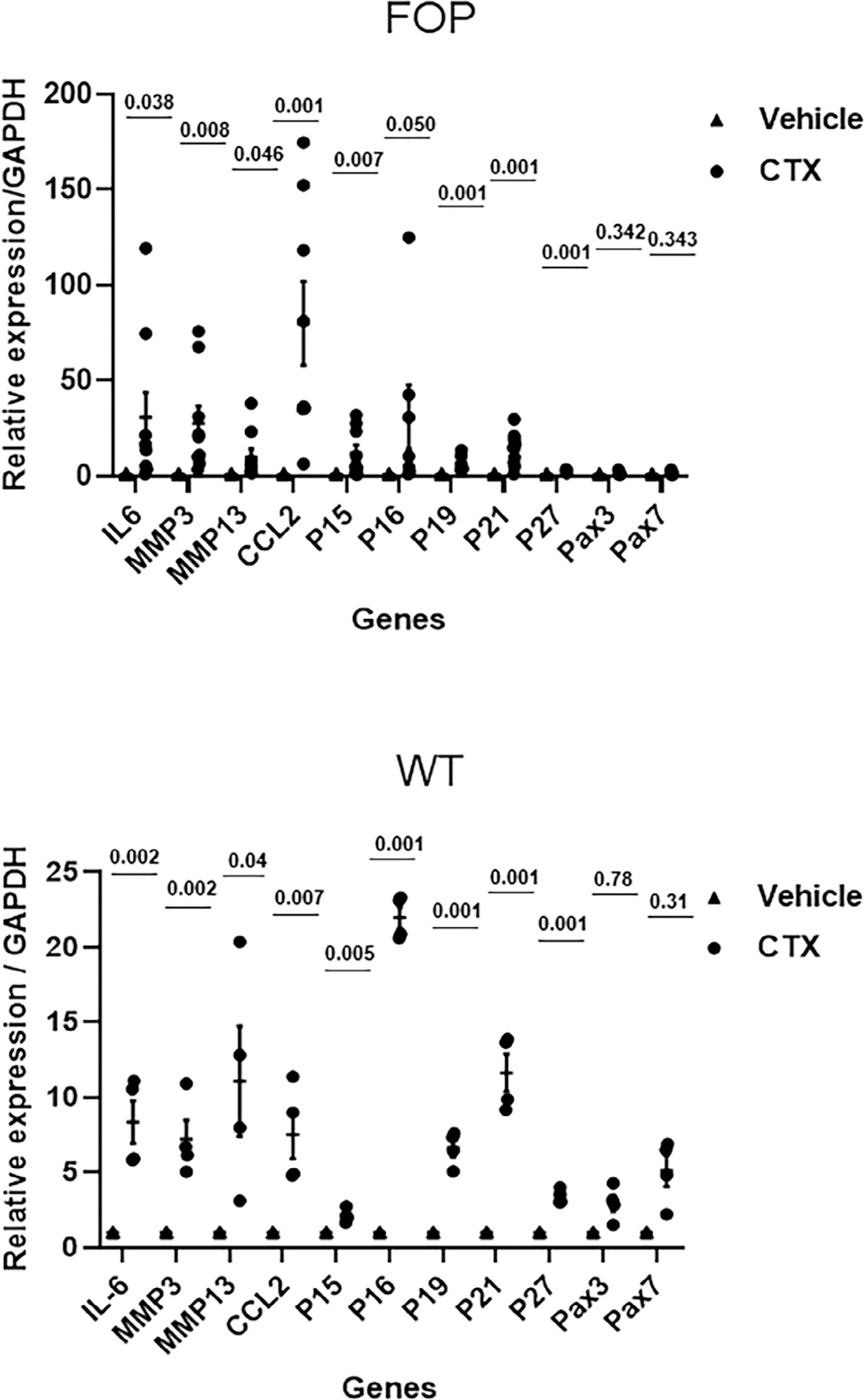 Fig 3.