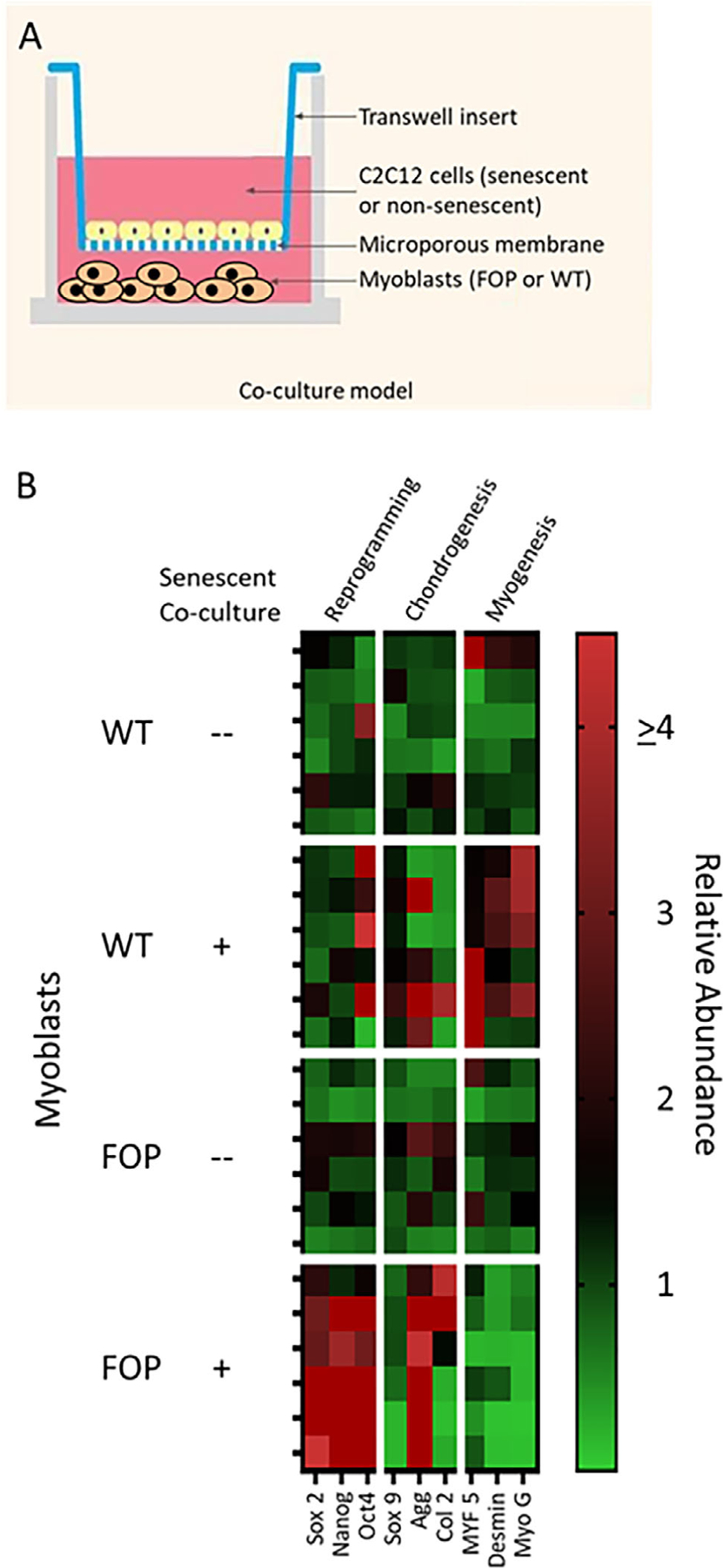 Fig 4.