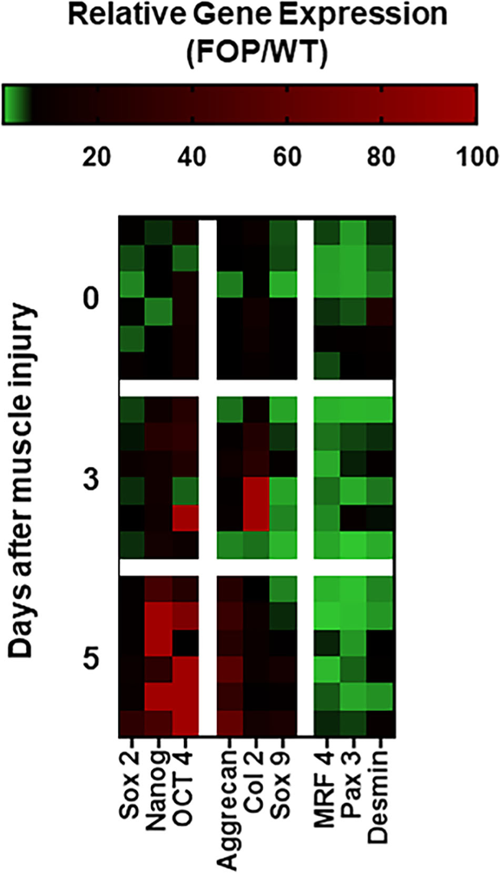 Fig 5.