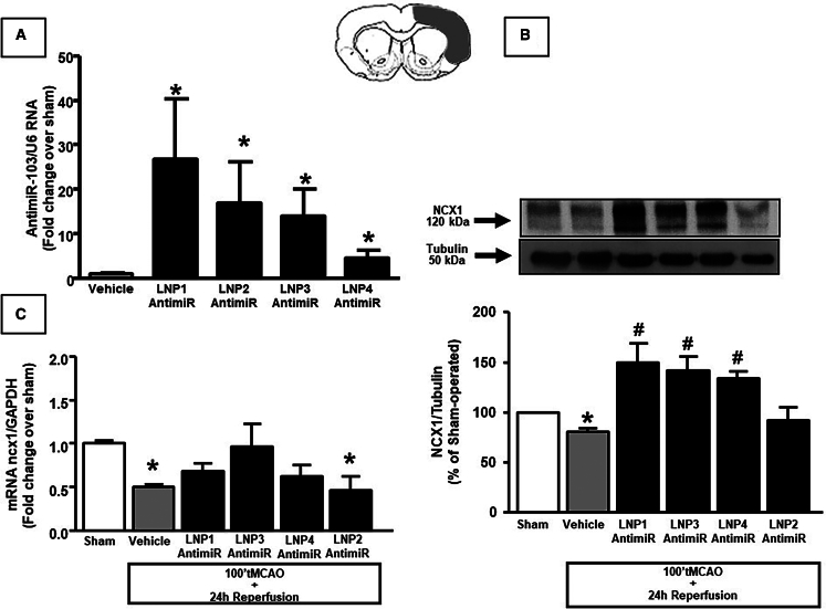 Figure 4