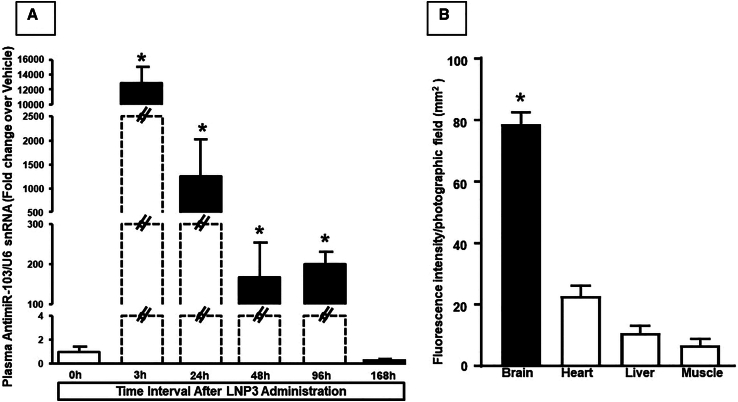 Figure 5