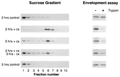 FIG. 7