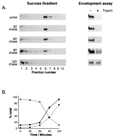 FIG. 6