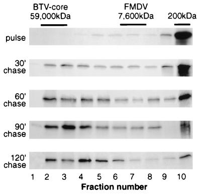 FIG. 5