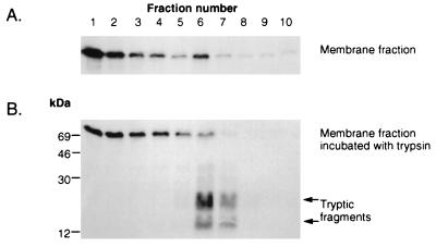 FIG. 8