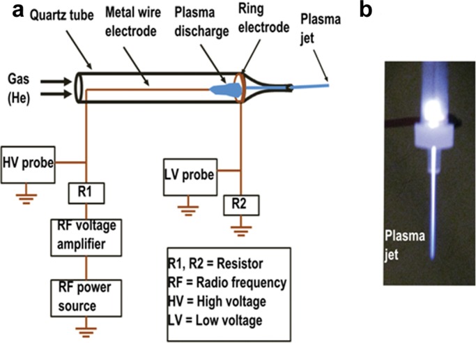 FIGURE 1: