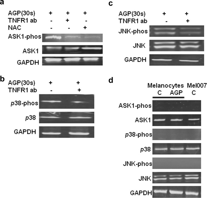 FIGURE 6: