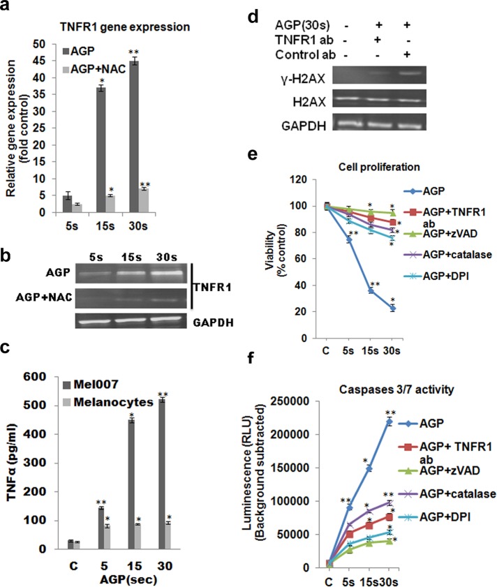 FIGURE 4: