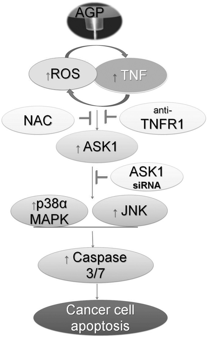 FIGURE 7: