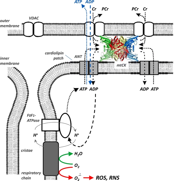 Fig. 3