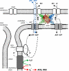 Fig. 3