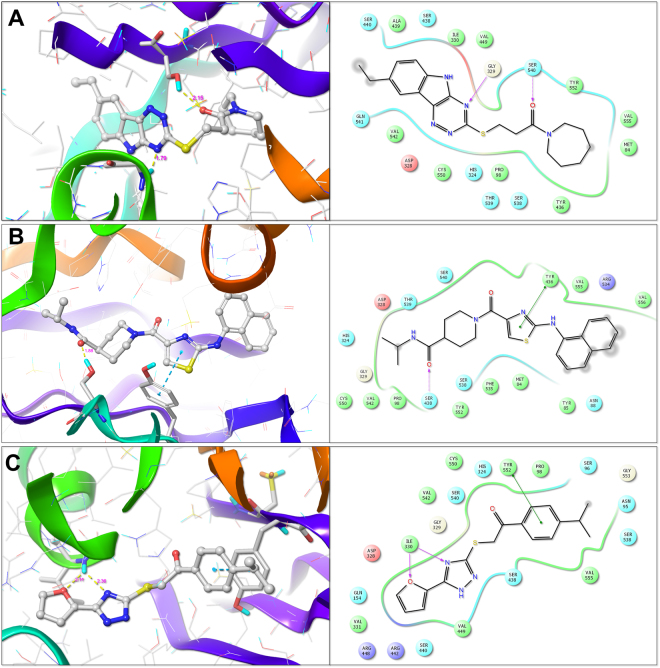 Figure 10